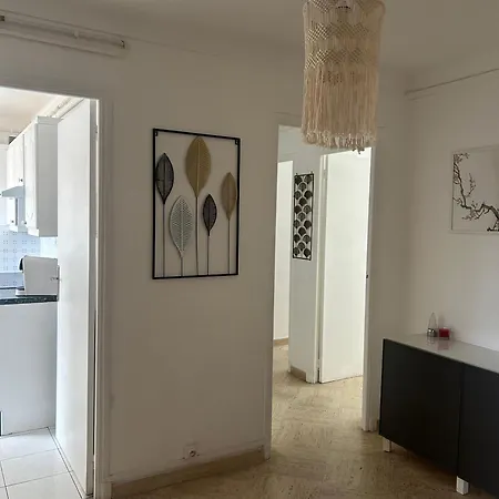 Appartement Le President 100 M De La